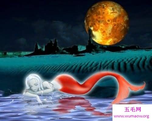 带你走进惊悚片看杀手美人鱼体验不一样的感受