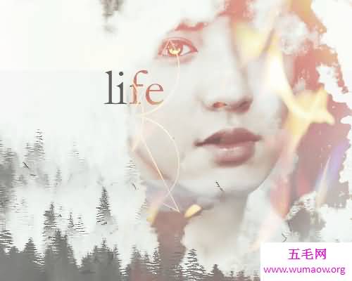 人与人之间的信任建立是一门很重要的学科