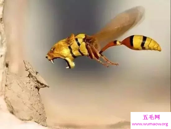 十大恐怖的杂交动物，鲨鱼与犀牛杂交是什么鬼