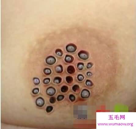 恶心的蓬蓬乳和空空指竟然都是假的，人为ps出来的