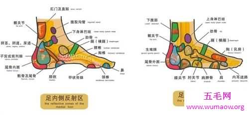 治病新技能，足部反射区治疗法