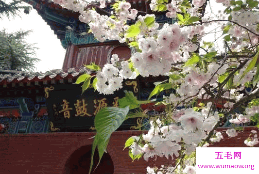 白马寺在哪？到底有几个白马寺？