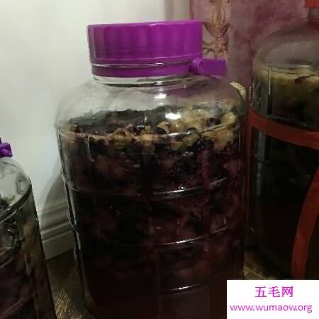 喜欢喝葡萄酒 但你会自酿葡萄酒吗 自酿的才好喝