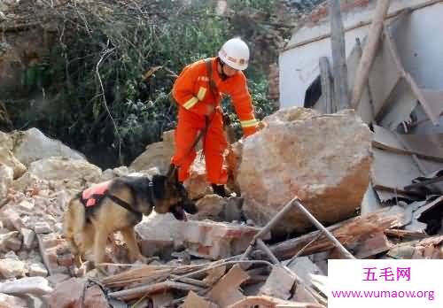 沈阳地震发生时你感受到了吗 赶紧看看地震的预防措施吧