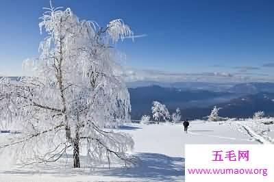 “我在北方的冬天里，大雪纷飞”冬天的图片