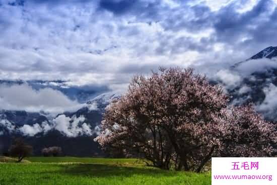 西藏林芝几月最美，春季赏花九月观秋(旅游攻略)