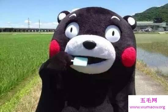 神奇有趣的图片大全，让你不敢相信自己的眼睛