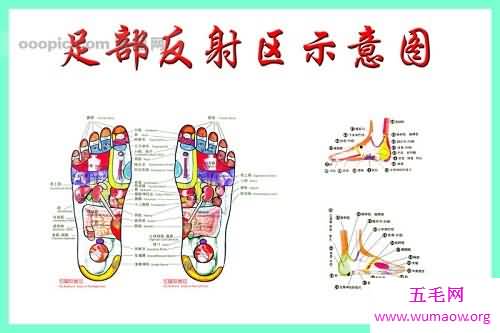 治病新技能，足部反射区治疗法