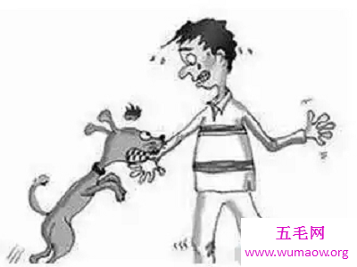 最全解梦大全，梦见狗咬自己代表什么？