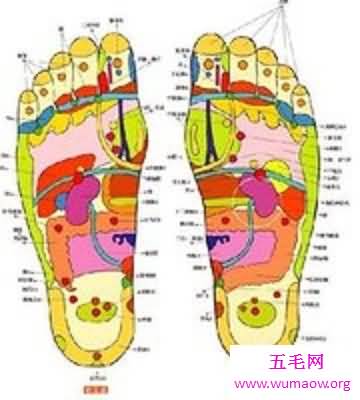 治病新技能，足部反射区治疗法