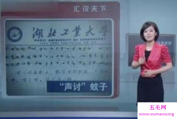 女子用60只蚊子写作文来泄愤，网友评论：大快人心