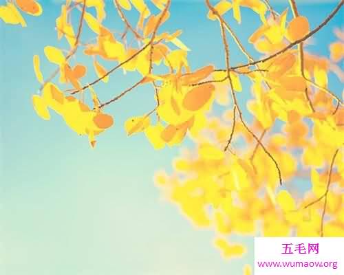 人与人之间的信任建立是一门很重要的学科