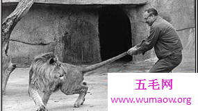最蠢星人的福音——达尔文奖