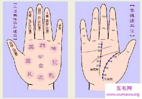 断掌纹一生运势如何？男女差异截然不同