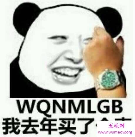 我去年买了个表是什么意思，高内涵国骂(WQNMLGB)