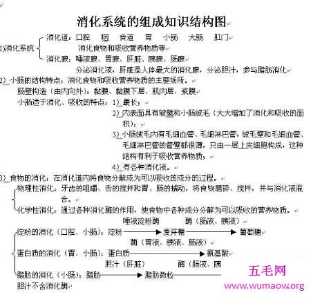 消化系统的组成在初中就学了 至今记忆犹新吧