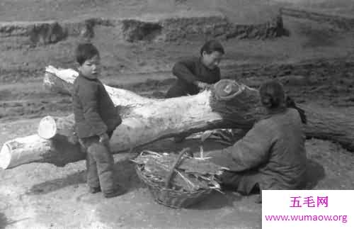 1942河南大饥荒，愿岁月可以抚平这特殊年代的伤痛