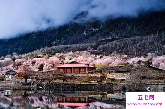 西藏林芝几月最美，春季赏花九月观秋(旅游攻略)