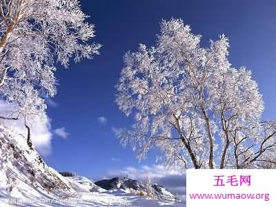 “我在北方的冬天里，大雪纷飞”冬天的图片