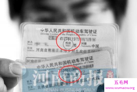 神秘的雌雄同体人，白天是男人晚上变身性感女郎