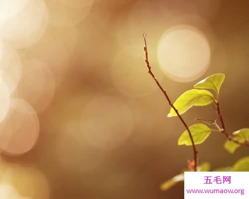 人与人之间的信任建立是一门很重要的学科