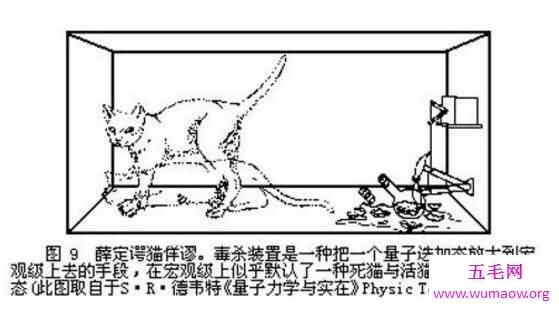 揭秘薛定谔的猫，一个无聊的实验(猫死不死铀说了算)