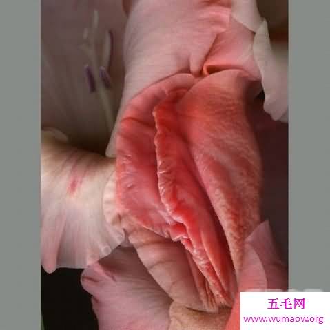 广东丹霞山阴阳石，阴阳两级分别对应男女生殖器(图)