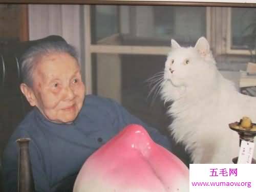 冰心的作品，冰心作品的赏析，冰心的早年经历和后来