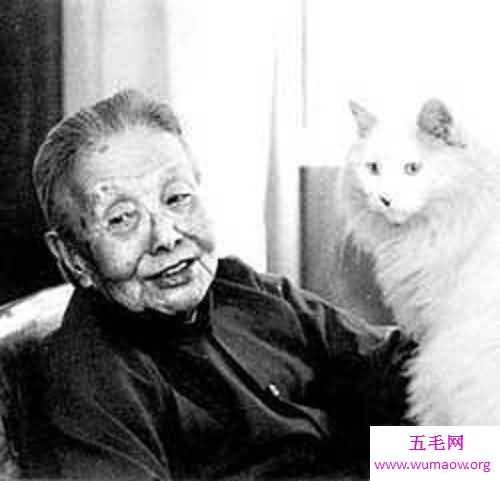冰心的作品，冰心作品的赏析，冰心的早年经历和后来