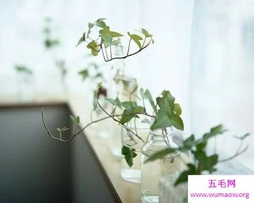 人与人之间的信任建立是一门很重要的学科