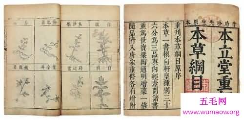 三七粉的作用与功效，三七粉应该怎样喝发挥它的功效