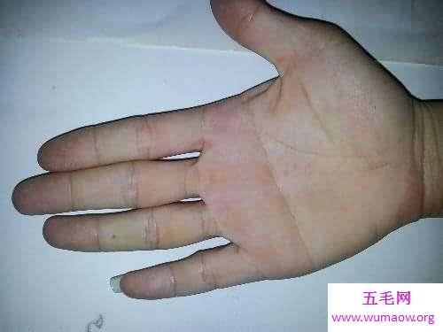 断掌纹一生运势如何？男女差异截然不同