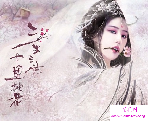 看过电视剧的你，又没看过《三生三世十里桃花》小说