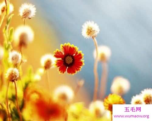 人与人之间的信任建立是一门很重要的学科