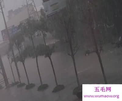 “天要下雨，娘要嫁人”梦见下大雨是什么意思？