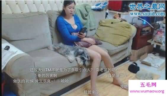 雪纳瑞三口之家，斗鱼直播卖老婆（卖肉的）