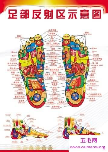 治病新技能，足部反射区治疗法