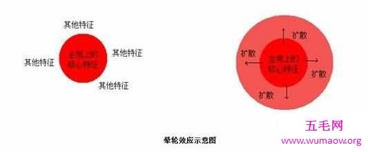 晕轮效应是什么意思，总喜欢以偏概全的认知别人