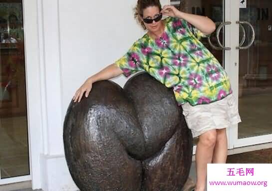 象拔蚌，女人看了会脸红的生物盘点