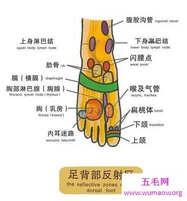 治病新技能，足部反射区治疗法