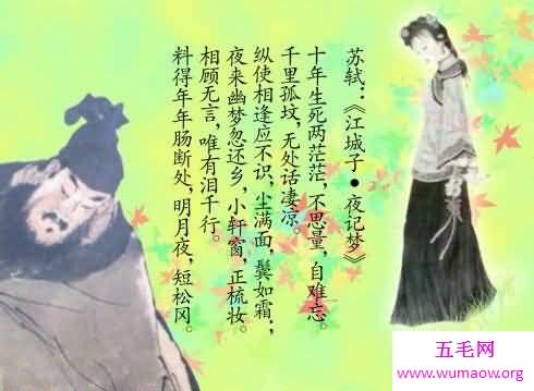 江城子，斯人已去，今人鬓已白，望百年后，同宿芦草岸