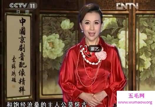 2017央视女主持人名单，最全各频道女主持人