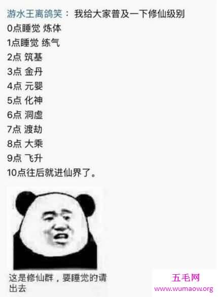 修仙是什么梗，5点还不睡你就能化神了