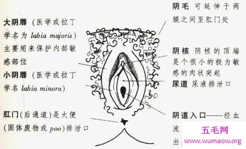 女孩生殖器是长什么样子 现实中居然有长得这么像的景点