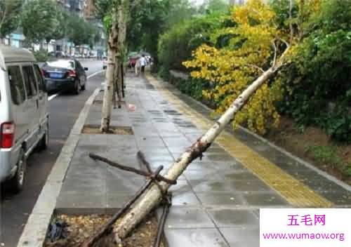 沈阳地震发生时你感受到了吗 赶紧看看地震的预防措施吧