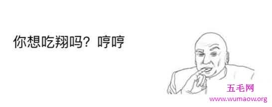 吃翔是什么意思，吃屎(军神李翔舌战贴吧3天)