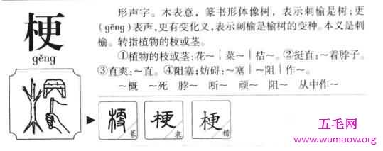 网络上的梗是什么意思，有趣且爆笑的各种梗盘点