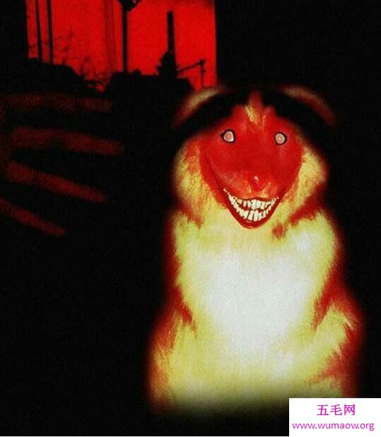 微笑狗smile dog恐怖原理，恐怖谷心理和恐怖故事