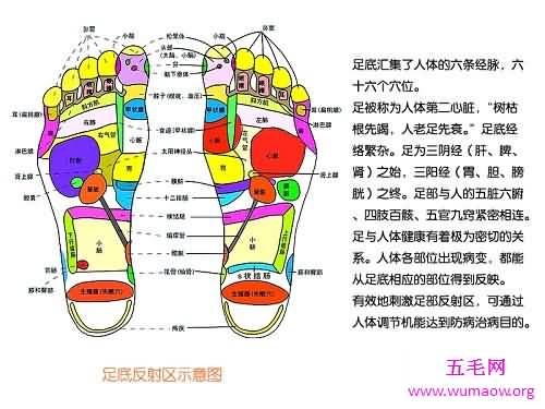 治病新技能，足部反射区治疗法