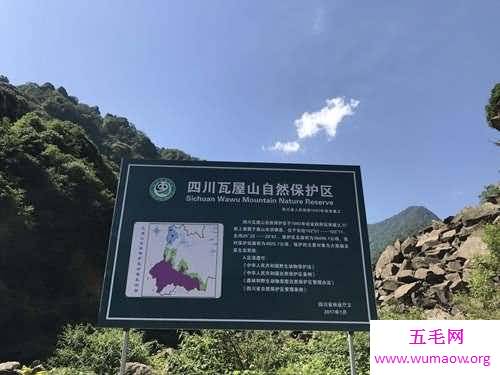 拥有世界杜鹃花王国称号的瓦屋山 你不想去看看吗